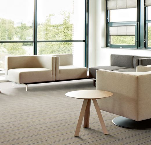 Flotex Linear Pinstripe 565007 karo halı