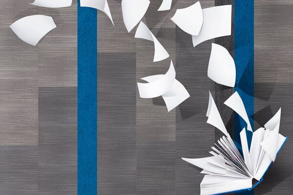 Anıl Zemin Voxflor narnia ofis karo halı